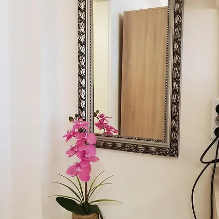 Studio Leopoldstreet Apartment *